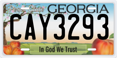 GA license plate CAY3293