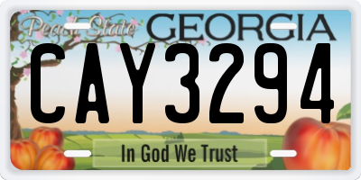 GA license plate CAY3294