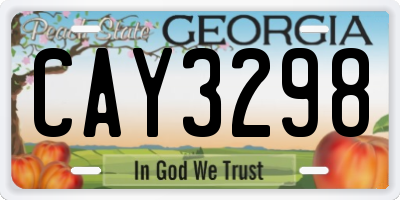 GA license plate CAY3298