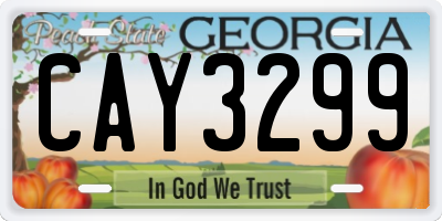 GA license plate CAY3299