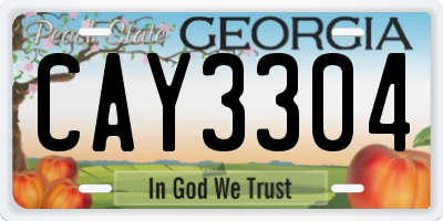 GA license plate CAY3304