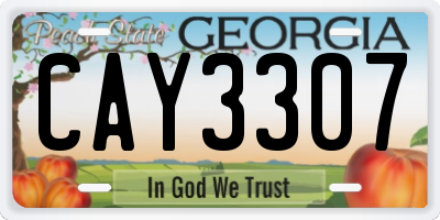 GA license plate CAY3307