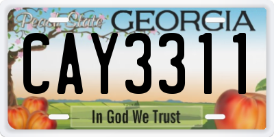 GA license plate CAY3311
