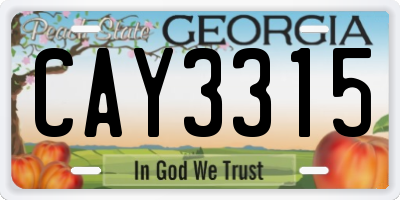 GA license plate CAY3315