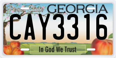GA license plate CAY3316