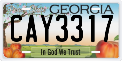 GA license plate CAY3317