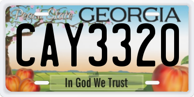 GA license plate CAY3320