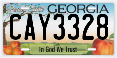 GA license plate CAY3328