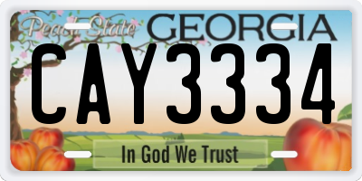 GA license plate CAY3334