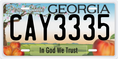 GA license plate CAY3335