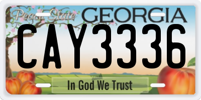 GA license plate CAY3336