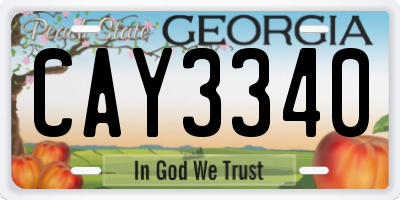 GA license plate CAY3340