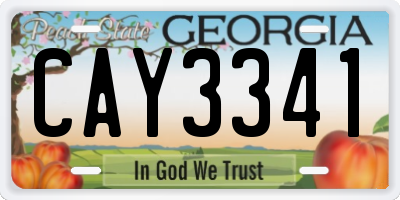 GA license plate CAY3341