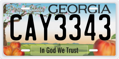 GA license plate CAY3343