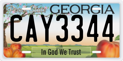 GA license plate CAY3344
