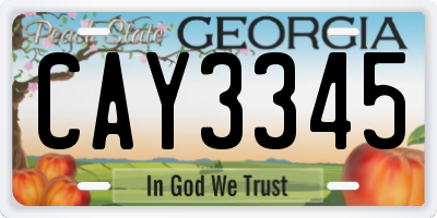 GA license plate CAY3345
