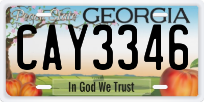 GA license plate CAY3346