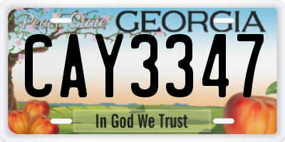 GA license plate CAY3347