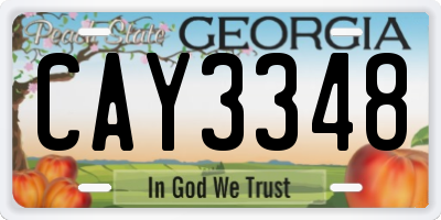GA license plate CAY3348