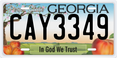 GA license plate CAY3349