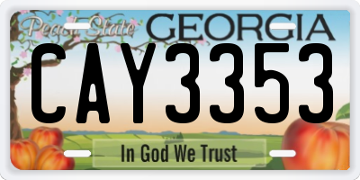 GA license plate CAY3353
