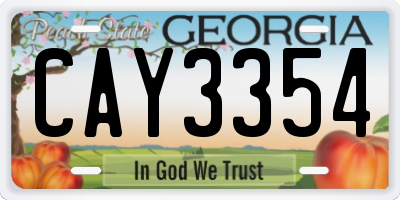 GA license plate CAY3354