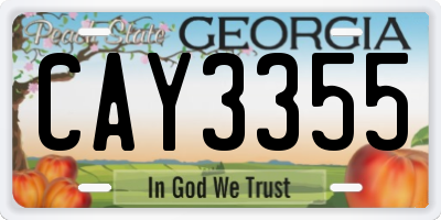 GA license plate CAY3355