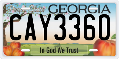 GA license plate CAY3360