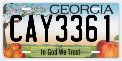 GA license plate CAY3361