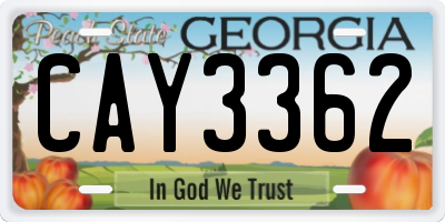 GA license plate CAY3362