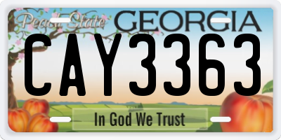 GA license plate CAY3363