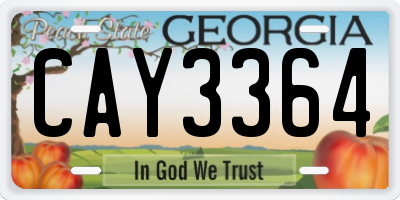 GA license plate CAY3364