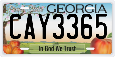 GA license plate CAY3365