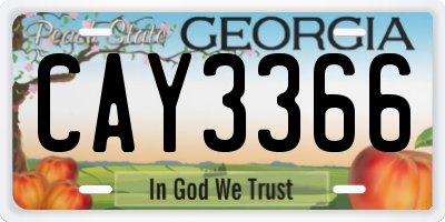 GA license plate CAY3366