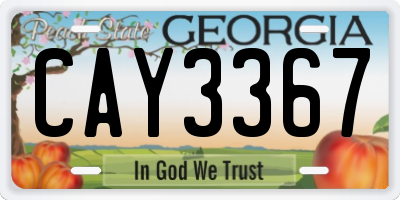 GA license plate CAY3367