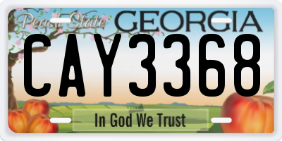 GA license plate CAY3368