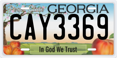 GA license plate CAY3369