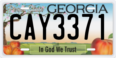 GA license plate CAY3371