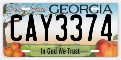 GA license plate CAY3374