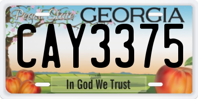 GA license plate CAY3375