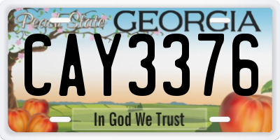GA license plate CAY3376
