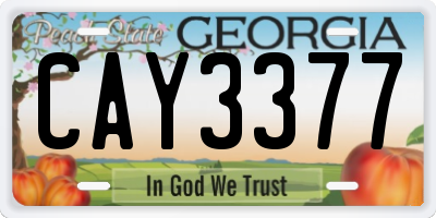 GA license plate CAY3377