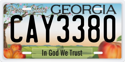 GA license plate CAY3380
