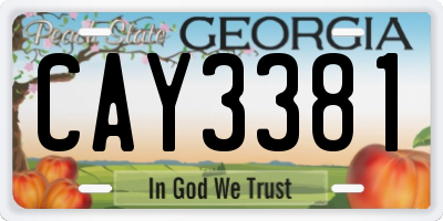 GA license plate CAY3381