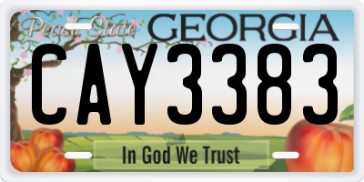 GA license plate CAY3383