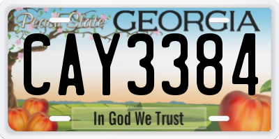 GA license plate CAY3384