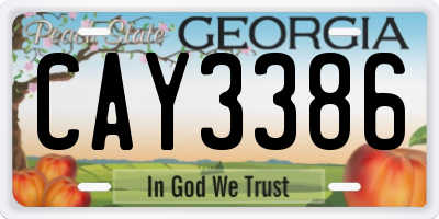 GA license plate CAY3386