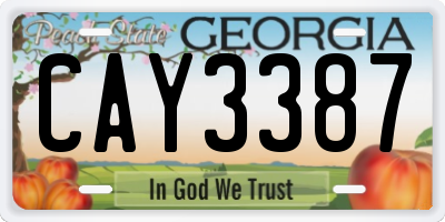 GA license plate CAY3387