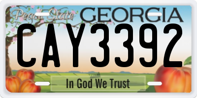 GA license plate CAY3392