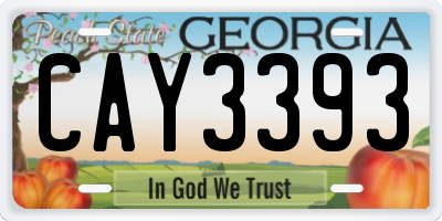 GA license plate CAY3393